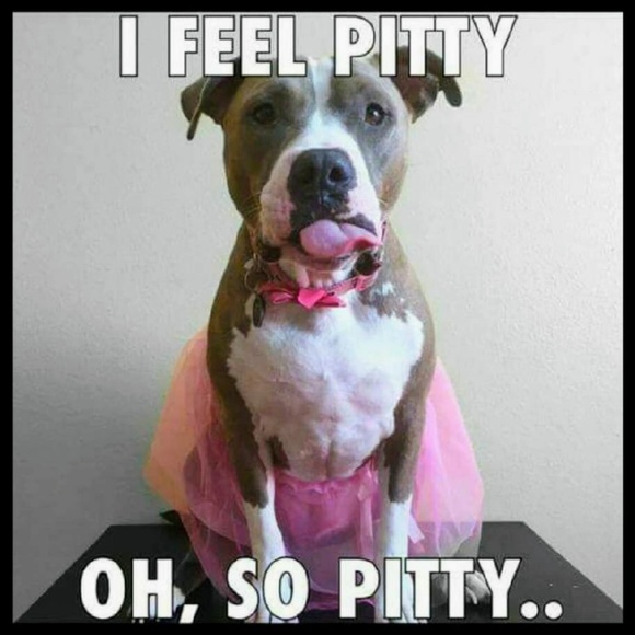 Meet your Posher, Janessa - Picture 1 of 1